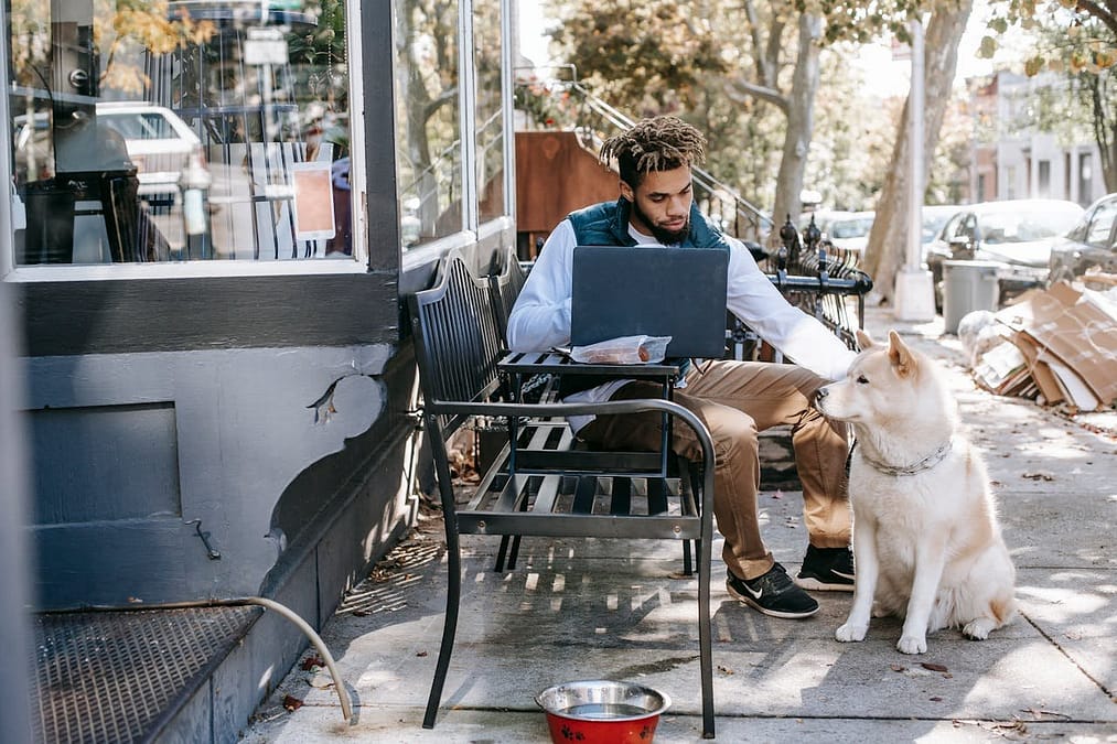 Como tornar seu estabelecimento realmente pet-friendly
