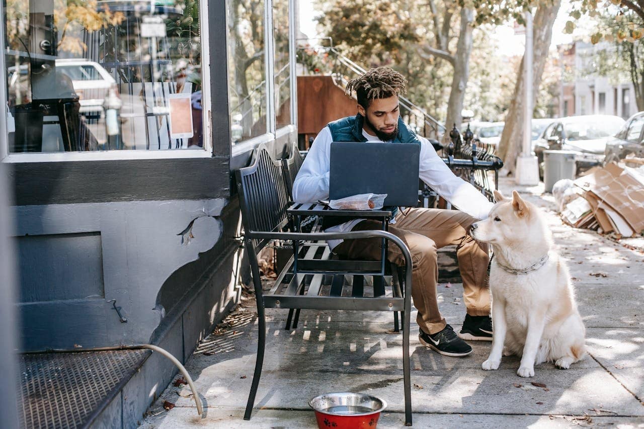 Como tornar seu estabelecimento realmente pet-friendly